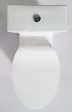 EAGO - Replacement Soft Closing Toilet Seat for TB377 | R-377SEAT Online Sale