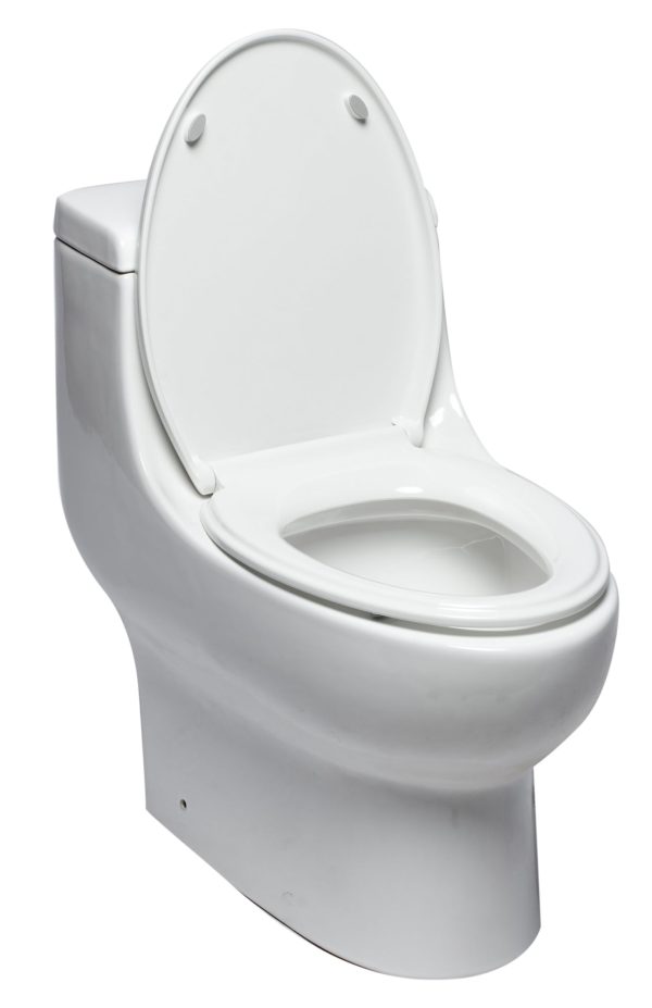 EAGO - Replacement Soft Closing Toilet Seat for TB358 | R-358SEAT Online Hot Sale