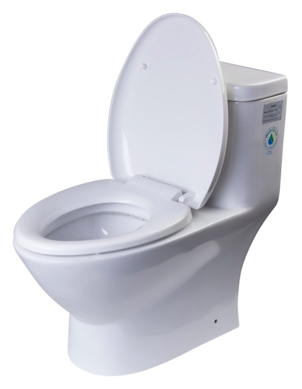 EAGO - MODERN DUAL FLUSH ONE PIECE ECO-FRIENDLY HIGH EFFICIENCY LOW FLUSH CERAMIC TOILET | TB346 For Cheap